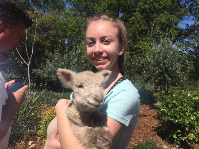 picture of girl holding lamb