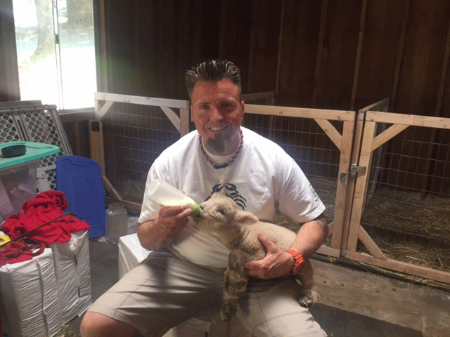 picture of man feeding lamb